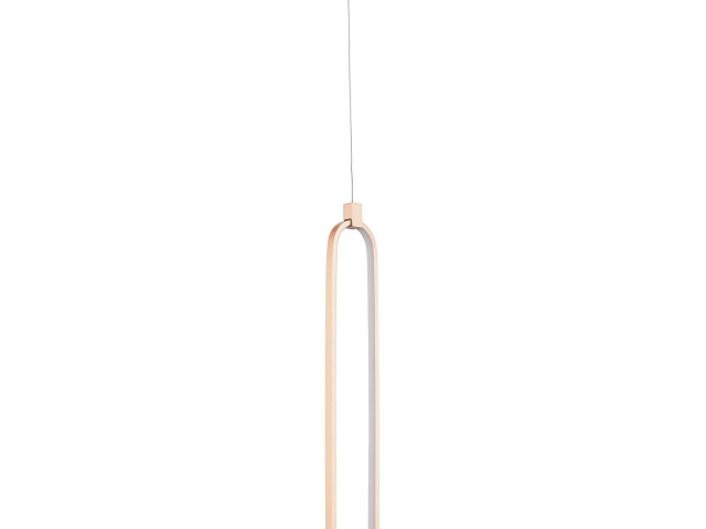 Подвесной светильник Maytoni MOD017PL-L13G фото:1