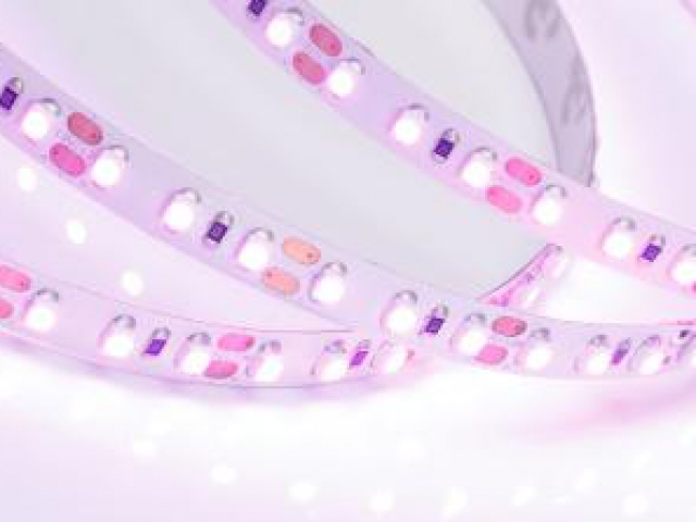 Лента RT-A120-8mm 12V Pink (9.6 W/m, IP20, 2835, 5m) (Arlight, Открытый) фото:8