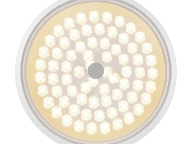 Потолочный светильник Freya FR10012CL-L24W фото:3