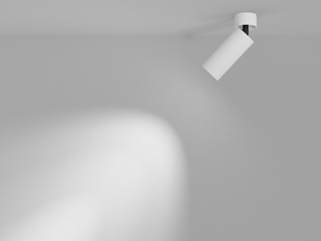 Потолочный светильник Technical C055CL-L12W4K-W-D-W фото:19