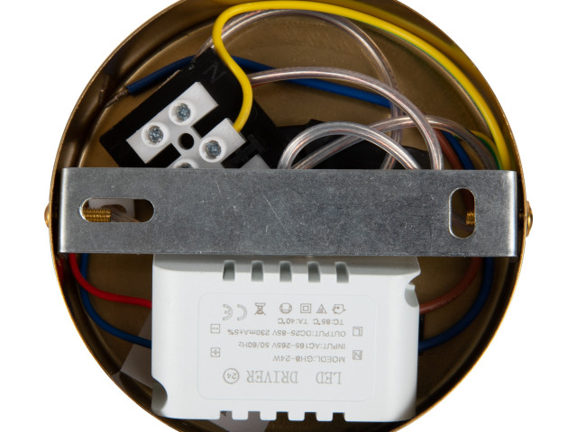 Подвесной светильник Freya FR6106PL-L13G фото:5