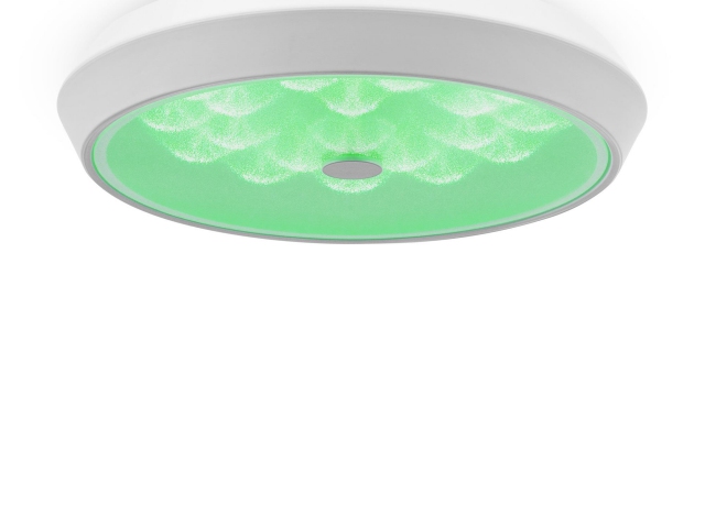 Потолочный светильник Freya FR10012CL-L24W фото:15