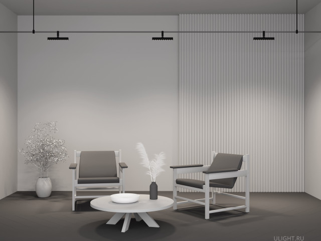 Трековый светильник Technical TR203-1-10W3K-S-B фото:8