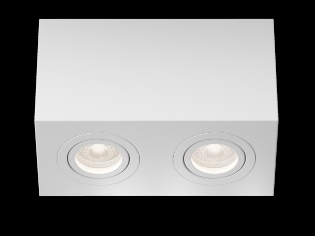 Потолочный светильник Technical C017CL-02W фото:1