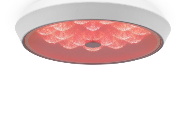 Потолочный светильник Freya FR10012CL-L24W фото:12