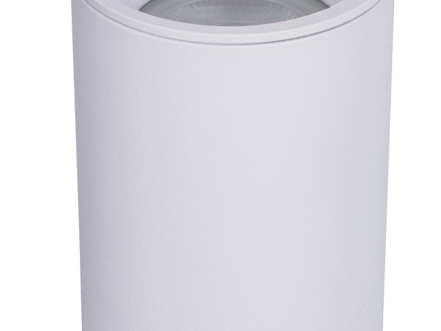 Потолочный светильник Technical C029CL-01-S-W фото:8