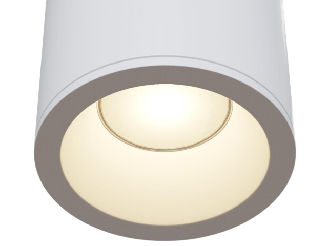 Потолочный светильник Technical C029CL-01-S-W фото:20