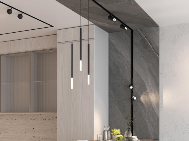 Светильник MAG-ORIENT-STICK-HANG-R20-3W Warm3000 (BK, 180 deg, 48V) (Arlight, IP20 Металл, 5 лет) фото:6