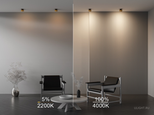 Встраиваемый светильник Technical DL024-12W-DTW-BMG фото:74