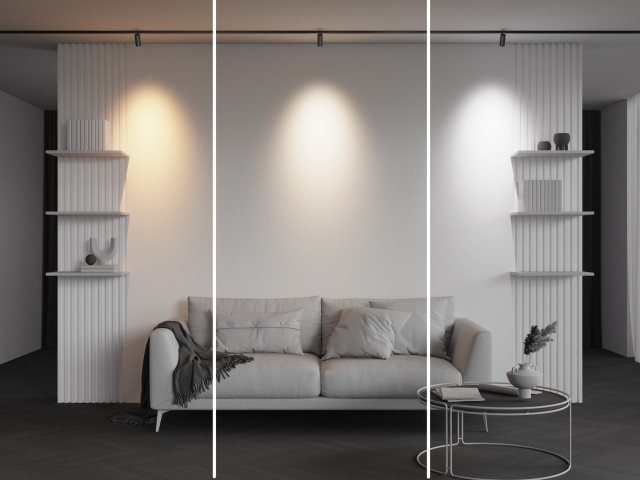 Трековый светильник Technical TR243-4-5WTW-DSZ-B фото:3