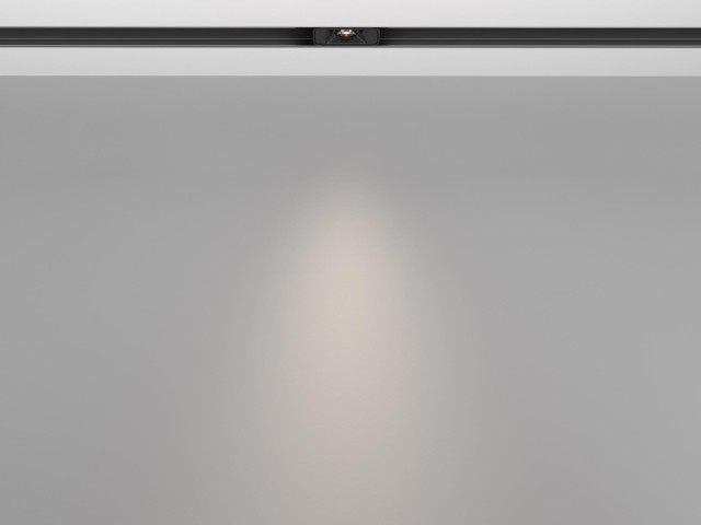 Трековый светильник Technical TR100-2-2W4K-S-B фото:9