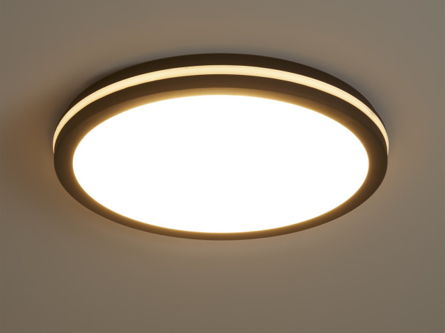 Потолочный светильник Freya FR6160CL-L40B фото:1