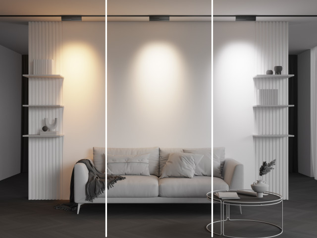 Трековый светильник Technical TR242-4-12WTW-DD2-B фото:9