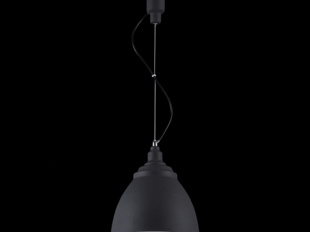 Подвесной светильник Maytoni P534PL-01B фото:17