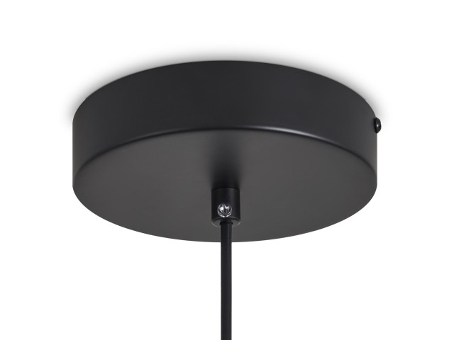 Подвесной светильник Freya FR6131PL-L24B фото:1