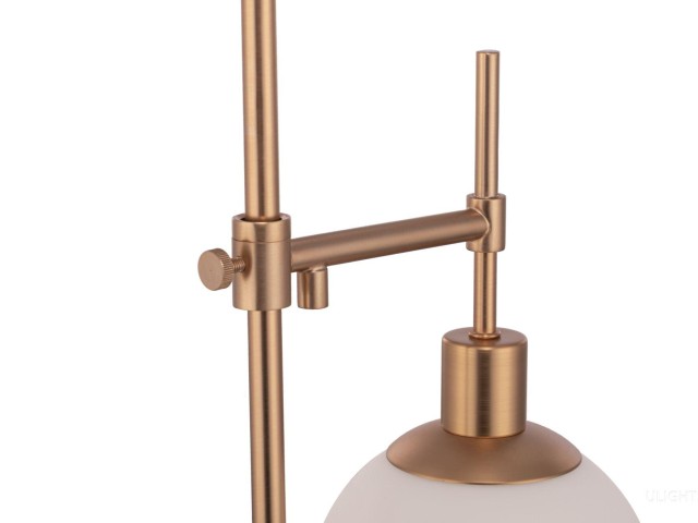 Настольный светильник Maytoni MOD221-TL-01-G фото:13
