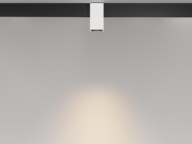 Трековый светильник Technical TR121-2-7W3K-W фото:6