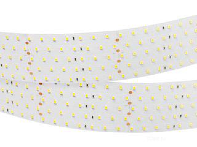 Лента RT 2-2500 24V Cool 8K 5x2 (2835, 875 LED, LUX) (Arlight, 36 Вт/м, IP20) фото:2