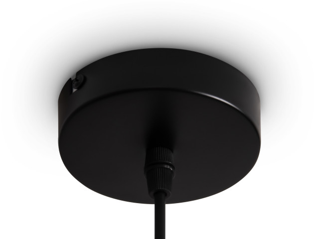 Подвесной светильник Freya FR5503PL-01B фото:1