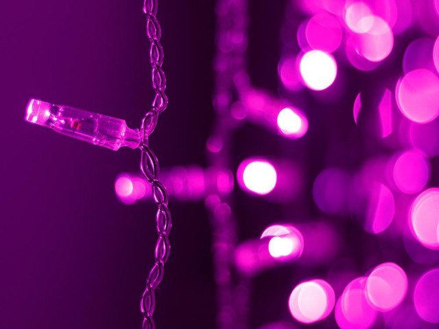 Светодиодная гирлянда ARD-CURTAIN-CLASSIC-2000x3000-CLEAR-760LED Pink (230V, 60W) (Ardecoled, IP65) фото:3