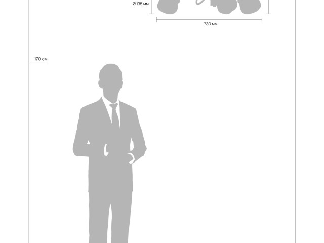 Люстра Freya FR8017PL-06MG фото:5