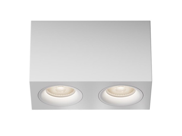 Потолочный светильник Technical C013CL-02W фото:1