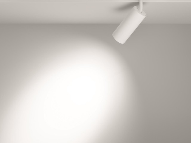 Трековый светильник Technical TR032-2-20W3K-S-W фото:8