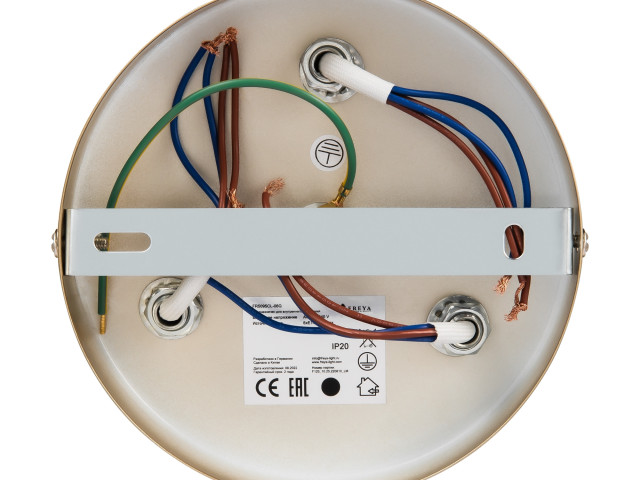 Потолочный светильник Freya FR5095CL-06G фото:18