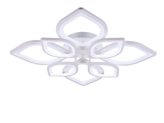 Потолочный светильник Freya FR6015CL-L84W фото:7