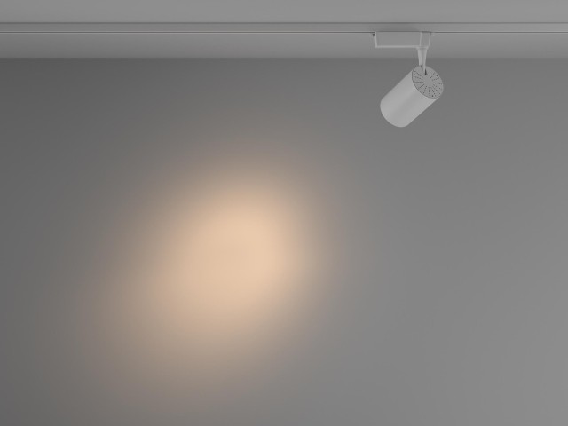 Трековый светильник Technical TR003-1-26W3K-S-W фото:10