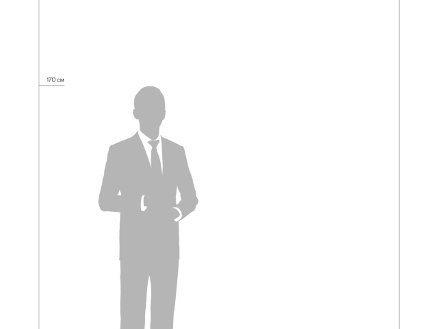 Потолочный светильник Freya FR10029CL-L70W фото:9