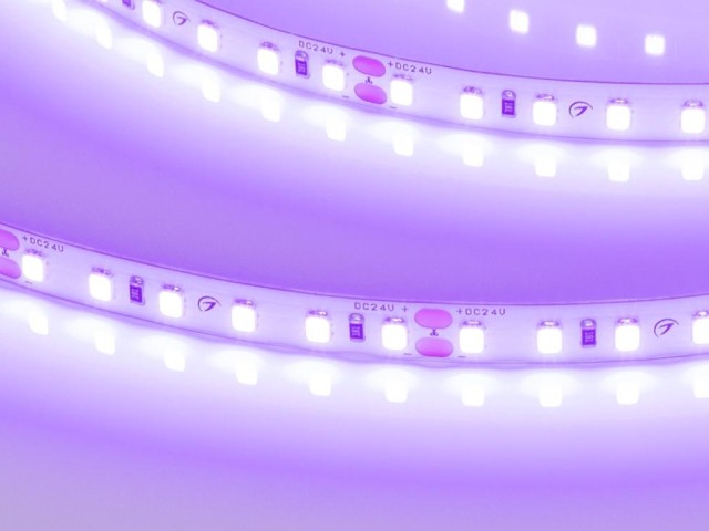 Лента RT-A120-8mm 24V Violet (9.6 W/m, IP20, 2835, 5m) (Arlight, -) фото:2