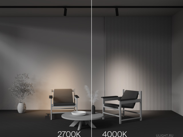 Трековый светильник Technical TR198-3-20W2.7K-Z-B фото:9