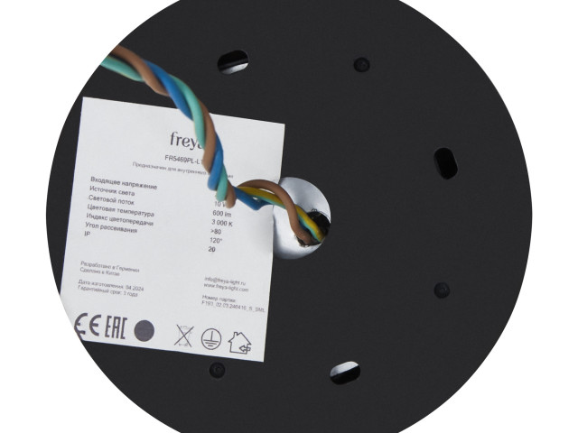 Подвесной светильник Freya FR5469PL-L10B фото:5