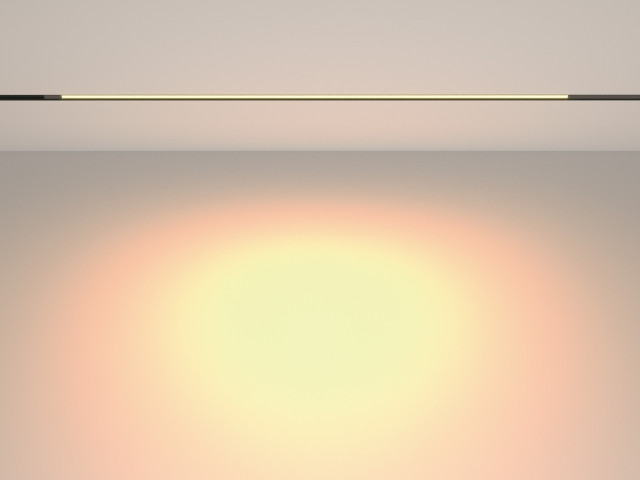 Трековый светильник Technical TR231-2-15W3K-B фото:10