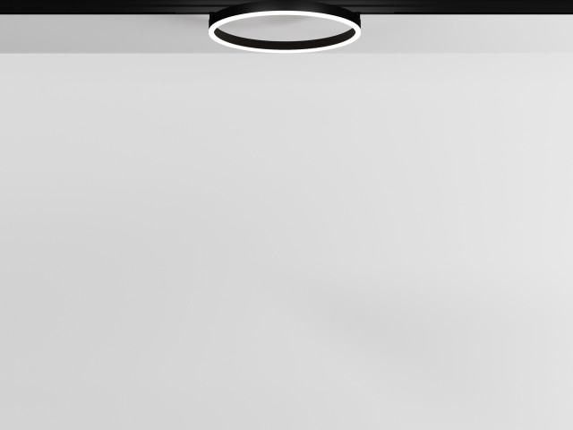 Трековый светильник Technical TR227-2-24W4K-B фото:3
