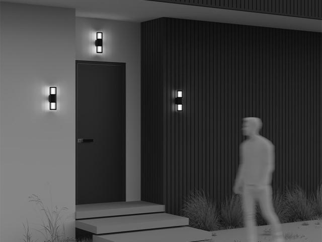 Уличный настенный светильник Outdoor O492WL-02GF фото:5