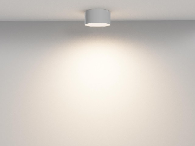 Потолочный светильник Technical C032CL-12W3K-RD-W фото:5