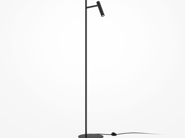 Напольный светильник (торшер) Maytoni Z010FL-L8B3K фото:6