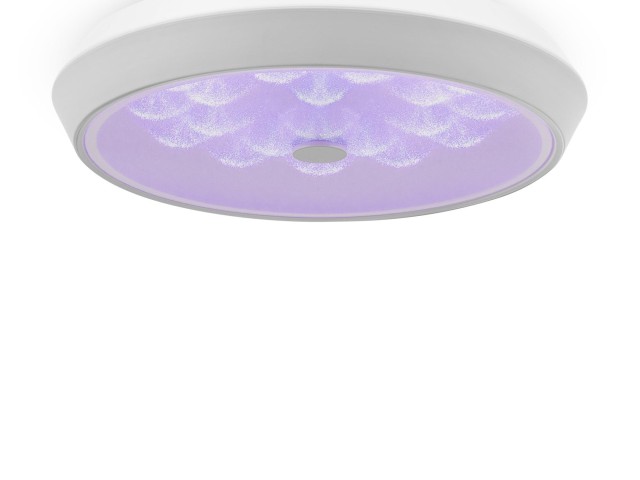 Потолочный светильник Freya FR10012CL-L24W фото:6