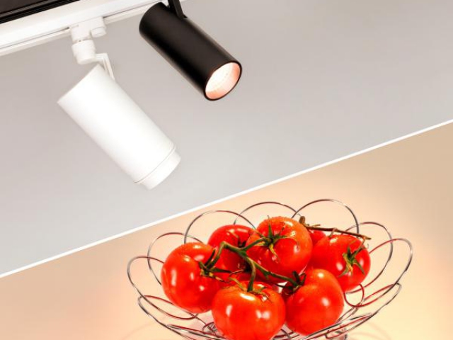 Светильник LGD-ZEUS-4TR-R100-30W Warm SP3000-Fruit (BK, 20-60 deg, 230V) (Arlight, IP20 Металл, 3 года) фото:5