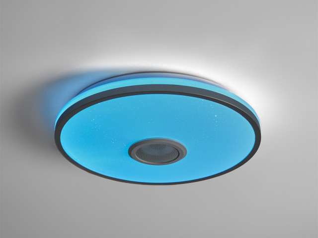 Потолочный светильник Freya FR6226CL-L36W фото:4