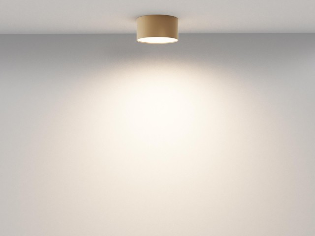 Потолочный светильник Technical C032CL-12W3K-RD-MG фото:8