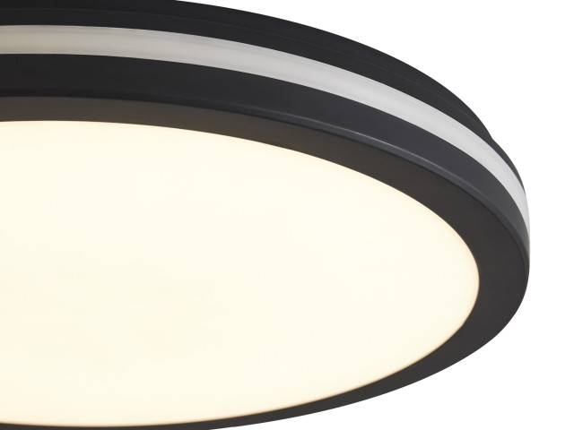 Потолочный светильник Freya FR6160CL-L40B фото:3