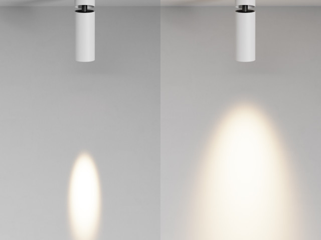 Потолочный светильник Technical C055CL-L12W3K-SS-W фото:5