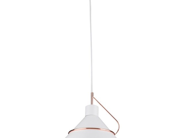Подвесной светильник Freya FR5025PL-01W фото:1