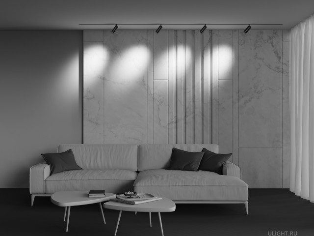 Трековый светильник Technical TR211-1-12W2.7K-Z-B фото:134