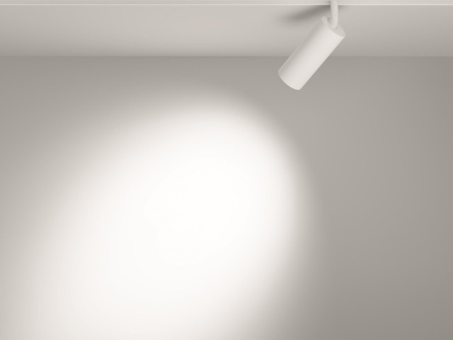 Трековый светильник Technical TR032-2-12W3K-S-W фото:2