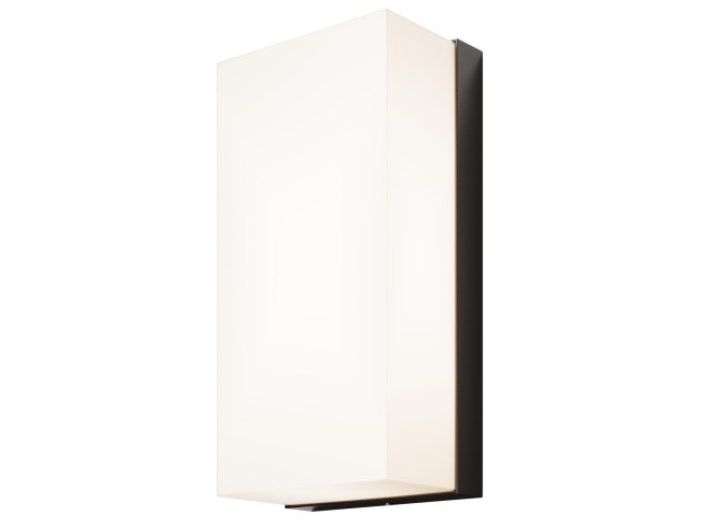 Настенный светильник (бра) Outdoor O454WL-L10GF3K фото:12