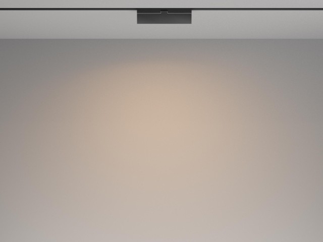 Трековый светильник Technical TR036-2-12W3K-B фото:5